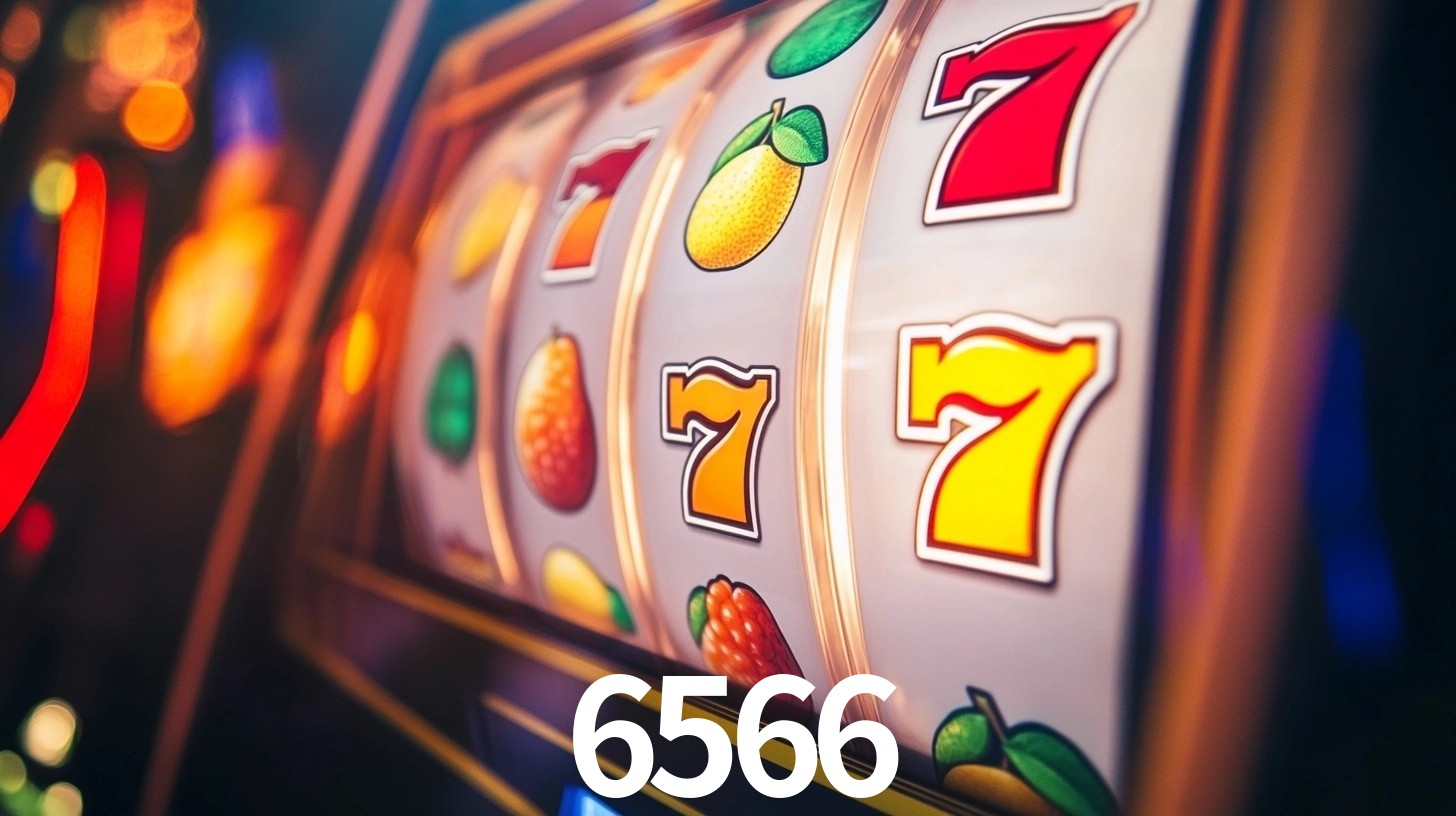 6566